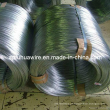 Electro / Hot Dipped Galvanized Steel Wire Factory